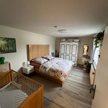 アパート Moeblierte Petra コブレンツ